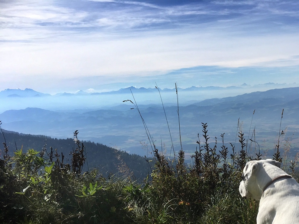 You are currently viewing Umweltschutz: Umwelt schonen durch wiederbefüllte Toner
