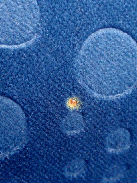 OLYMPUS DIGITAL CAMERA bretz sofa designklassiker bubbles blau sessel lounge