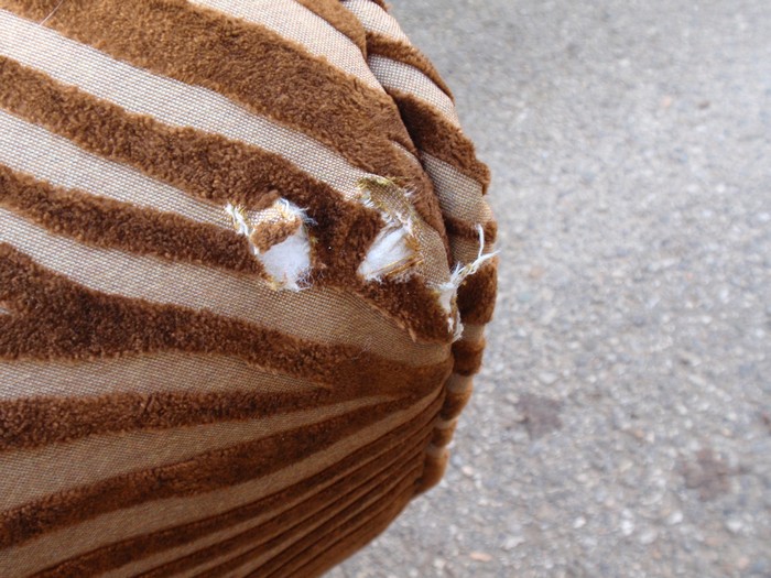 Bretz Designklassiker Sofa Laola Hookipa Zebra braun Löwentatzenfüße