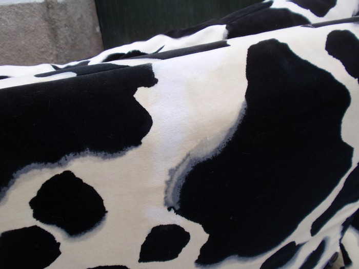 OLYMPUS DIGITAL CAMERA Bretz Designklassiker Sofa Kuhfell Popeye ausziehbares Bettsofa Gästebett