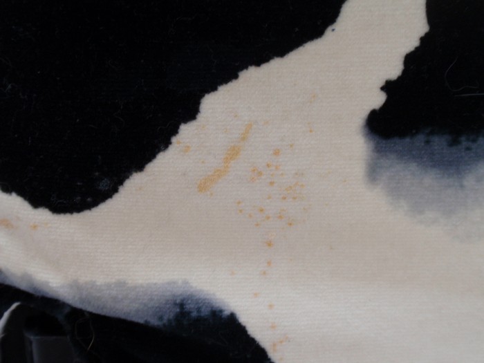 OLYMPUS DIGITAL CAMERA Bretz Designklassiker Sofa Kuhfell Popeye ausziehbares Bettsofa Gästebett