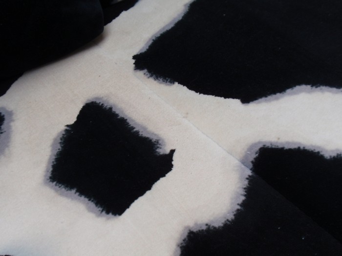 OLYMPUS DIGITAL CAMERA Bretz Designklassiker Sofa Kuhfell Popeye ausziehbares Bettsofa Gästebett