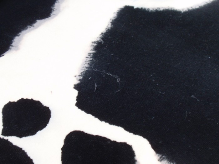 OLYMPUS DIGITAL CAMERA Bretz Designklassiker Sofa Kuhfell Popeye ausziehbares Bettsofa silberne Kufenfüße