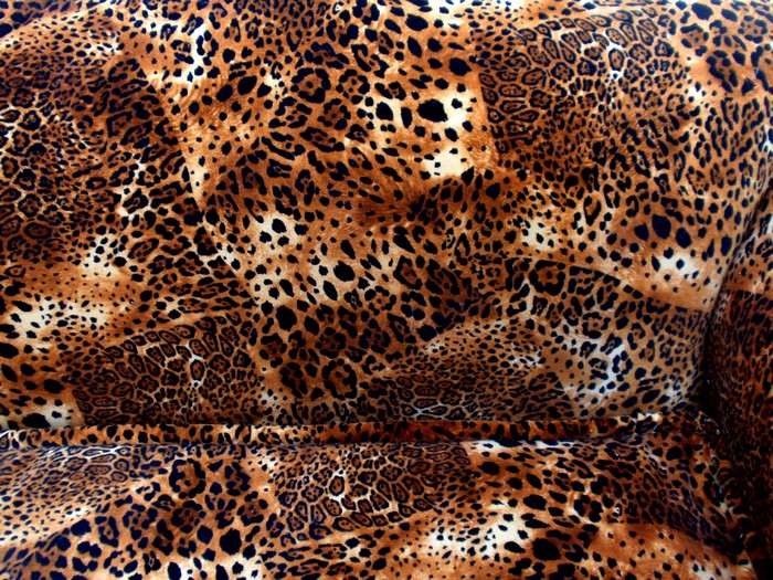 Bretz Sofa Mammut Wildcat Bretz Mammut Sofa Wildcat Riesensofa gebraucht