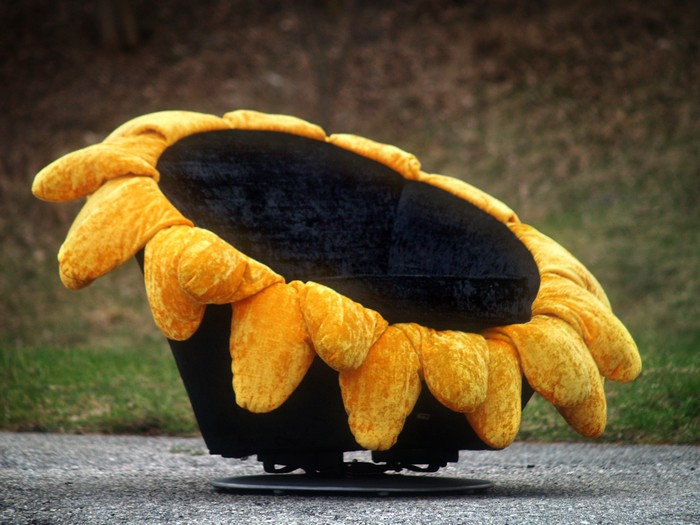 Bretz Stuhl Sunny Sofastuhl Bretz Sessel Blume drehbar Schaukelstuhl Sunny Samtstoff gelb schwarz Designmöbel