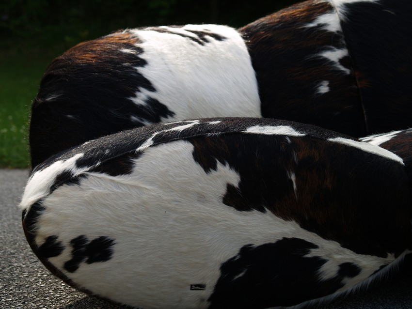 bretz 4874 1 mumba sofa kuhfell leder dreisitzer 16