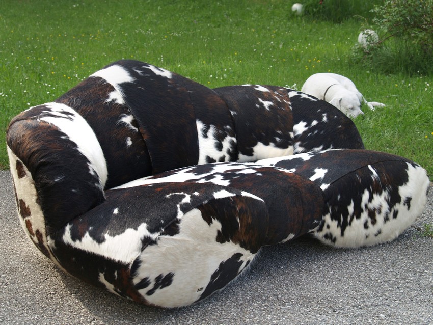 bretz 4874 1 mumba sofa kuhfell leder dreisitzer 17 01