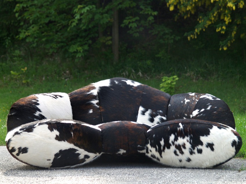 bretz 4874 1 mumba sofa kuhfell leder dreisitzer 18