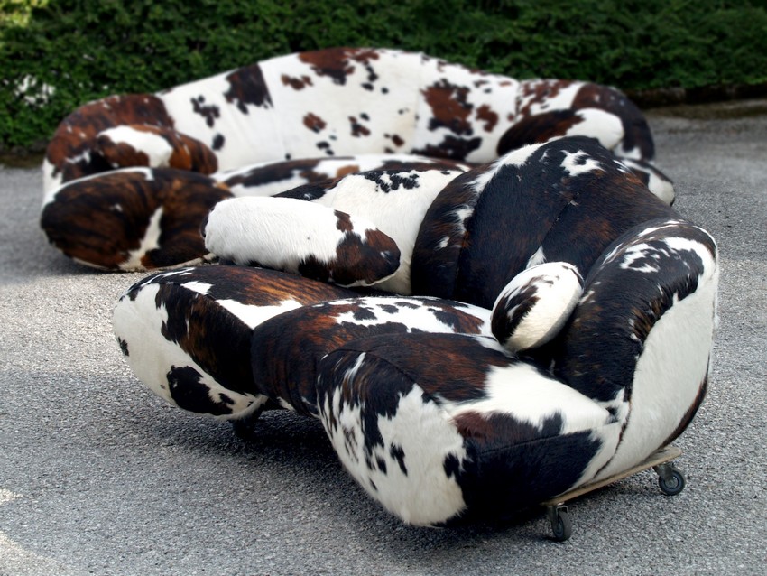 bretz 4874 1 mumba sofa kuhfell leder dreisitzer 6 01