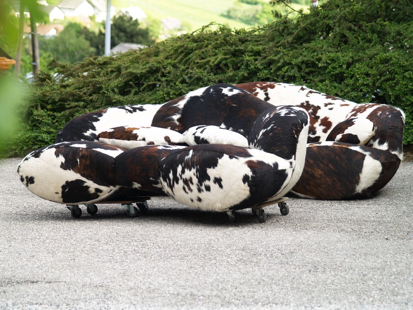 bretz 4874 1 mumba sofa kuhfell leder dreisitzer 8 01