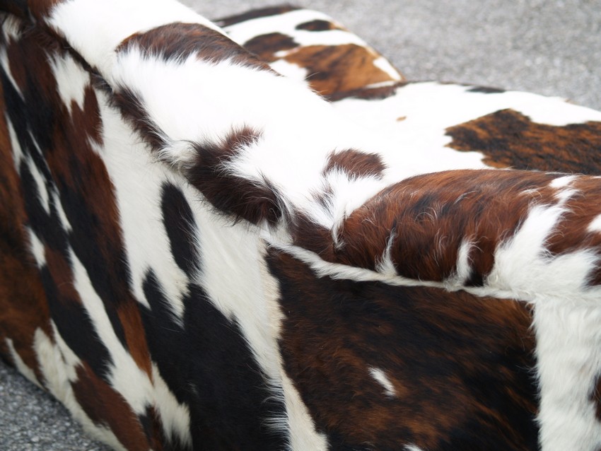 bretz 4874 2 mumba sofa Designer kuhfell leder 10