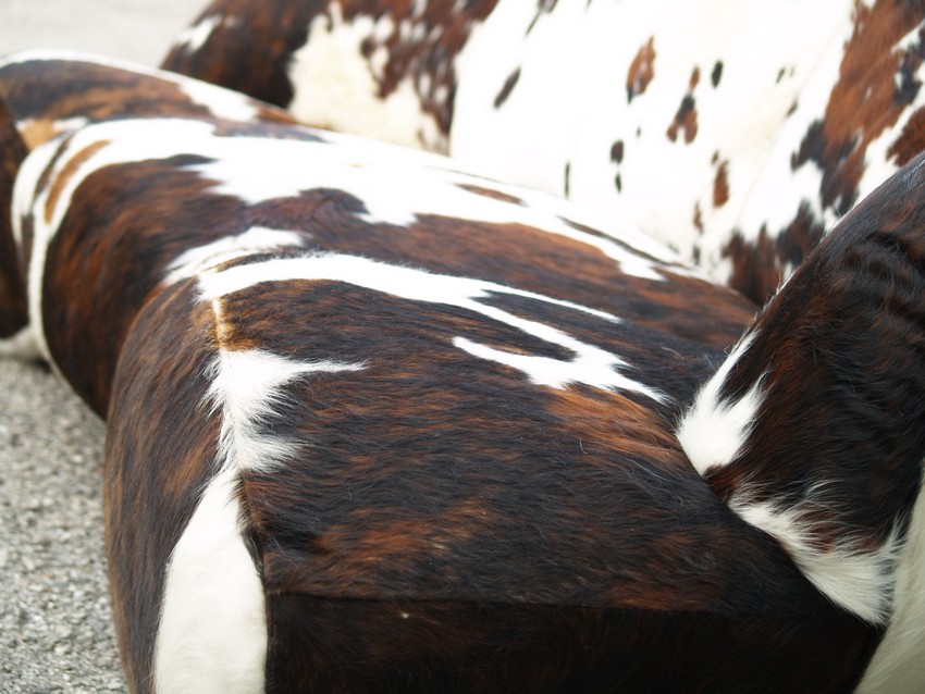 bretz 4874 2 mumba sofa Designer kuhfell leder 11