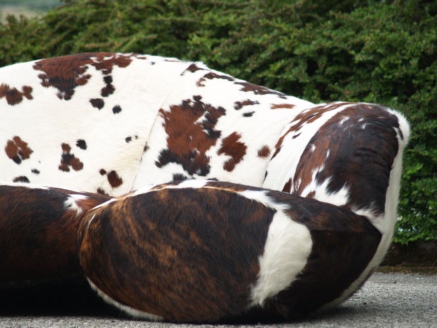 bretz 4874 2 mumba sofa Designer kuhfell leder 14