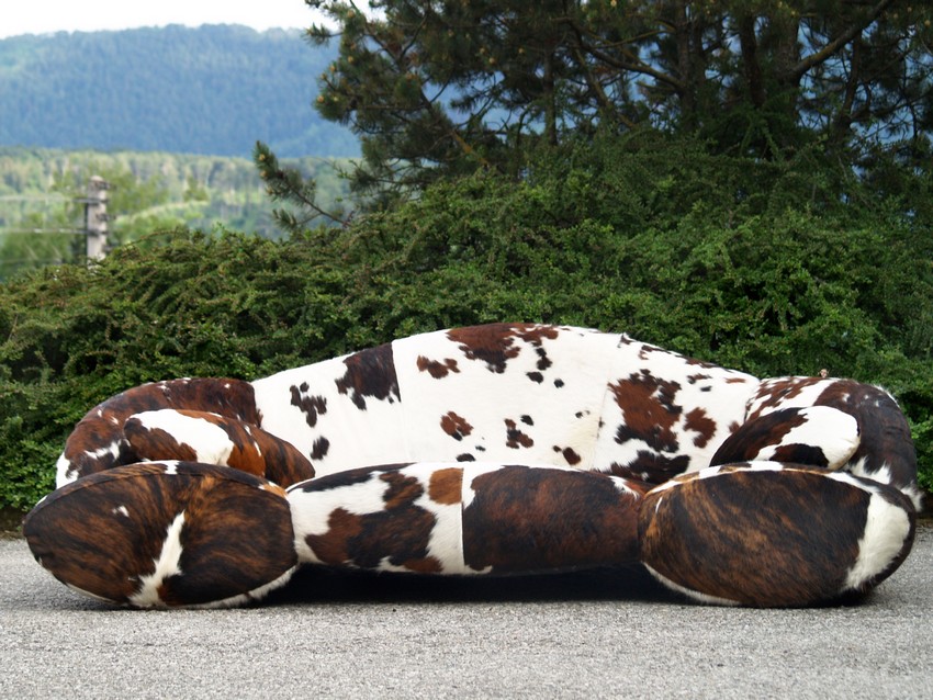 bretz 4874 2 mumba sofa Designer kuhfell leder 15 01