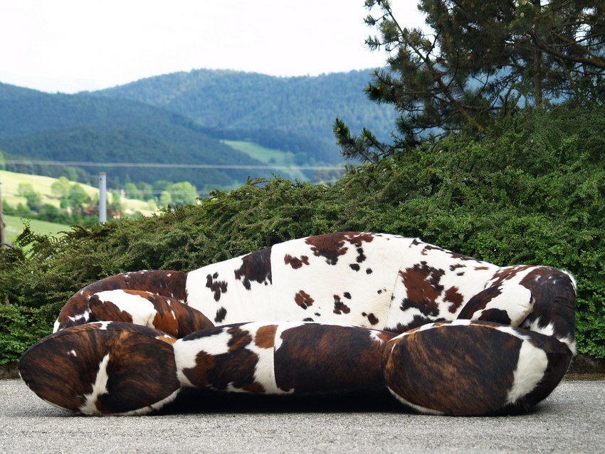 bretz 4874 2 mumba sofa Designer kuhfell leder 16