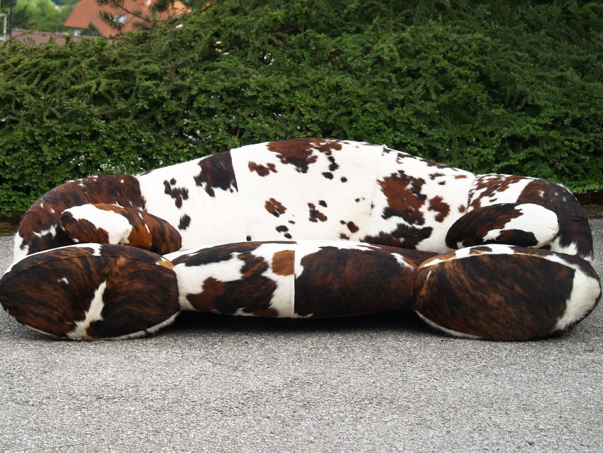 bretz 4874 2 mumba sofa Designer kuhfell leder 17 01