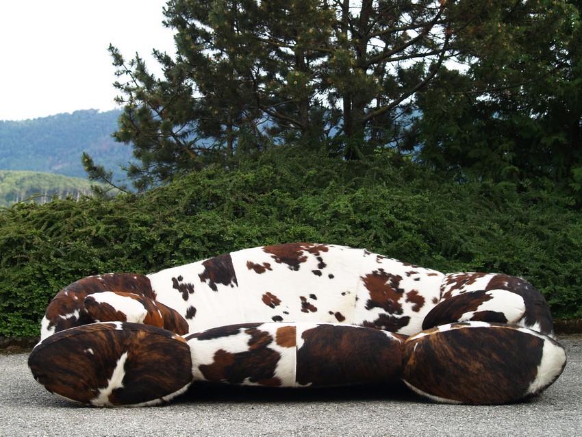 bretz 4874 2 mumba sofa Designer kuhfell leder 3