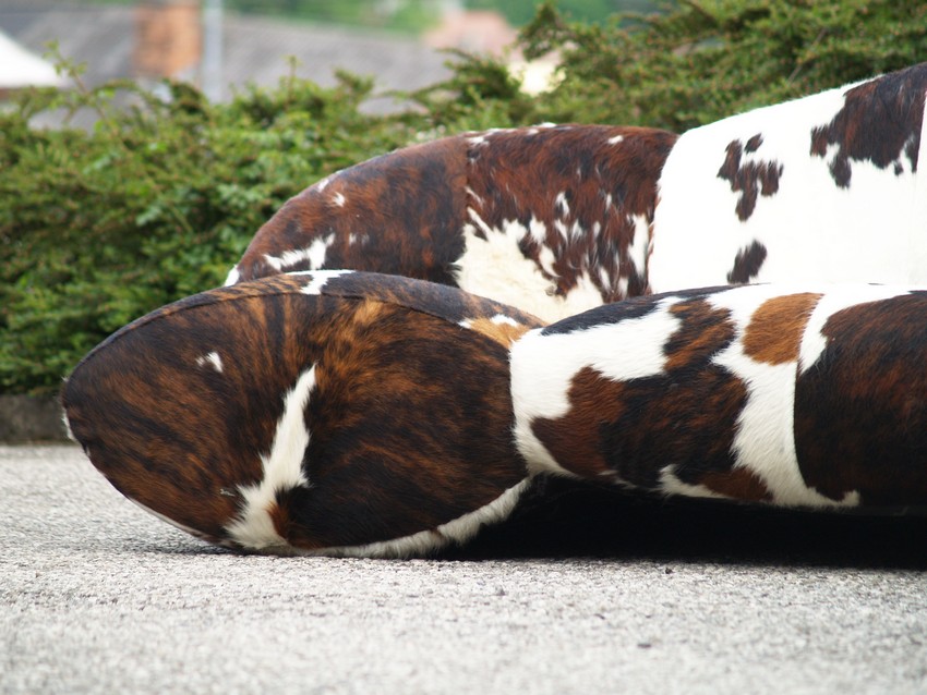 bretz 4874 2 mumba sofa Designer kuhfell leder 7