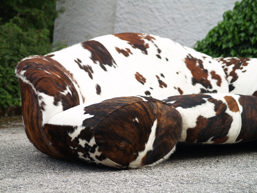 bretz 4874 2 mumba sofa Designer kuhfell leder 8