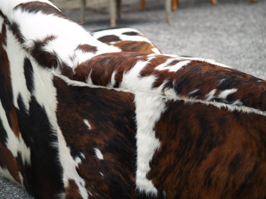 bretz 4874 2 mumba sofa Designer kuhfell leder 9 01