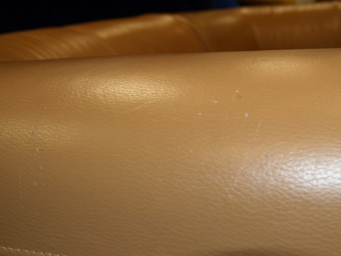 OLYMPUS DIGITAL CAMERA Bretz sofa designklassiker lounge chill wohnlandschaft