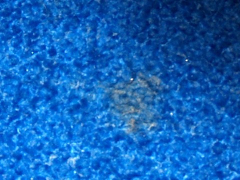 Bretz designklassiker Sofa Pool Ufo blau rosenfüße kräuselvelour