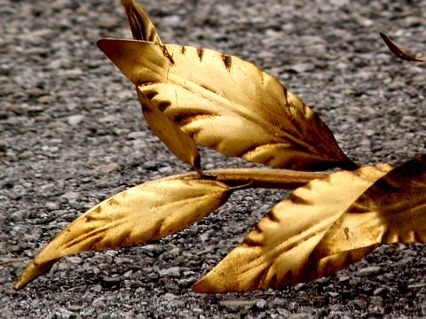 Wandlampe Vintage Blätter Baum golden 6 Hans Kögl Koegl Wandlampe € 99 Film Requisite Midcenturymodern golden Blätter Baum Palme