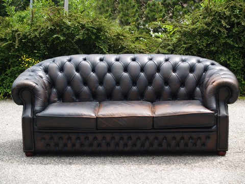 Chesterfield Ledersofa sofa leder couch geschwungen 1