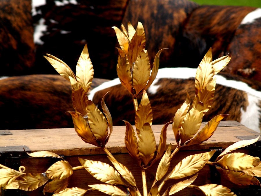 Diese Vintage Wandlampe legt das Licht wie einen Satinschleier in den Raum Hans Kögl Koegl Wandlampe € 99 Film Requisite Midcenturymodern golden Blätter Baum Palme