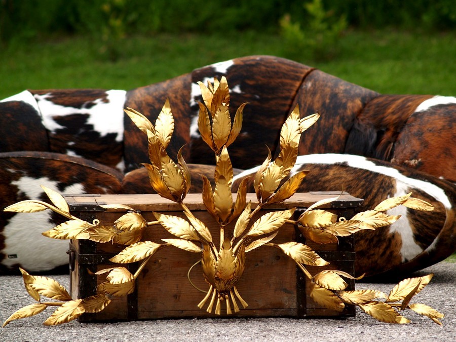 Über sieben ausladende Arme wirkt diese Wandlampe einfach erhaben Hans Kögl Koegl Wandlampe € 99 Film Requisite Midcenturymodern golden Blätter Baum Palme