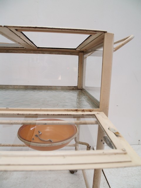 Metallmöbel Vintage antiker Arztschrank Bauhaus creme antik Bauhaus Beistelltisch Vitrinentisch Gewächshaus 20er 30er-Jahre