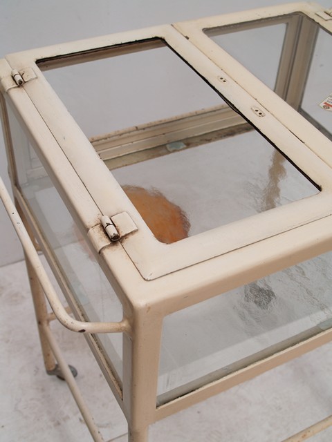 Metallmöbel Vintage antiker Arztschrank Bauhaus creme antik Bauhaus Beistelltisch Vitrinentisch Gewächshaus 20er 30er-Jahre