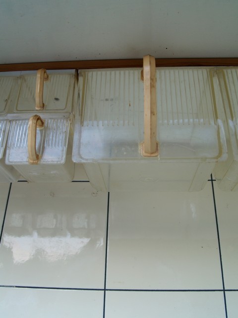 Retro Küchenschrank, Küche im Vintage Design 10 Küchenschrank creme antik Vintage 40er- 50er-jahre Küchenmöbel Midcentury pastell