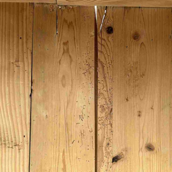 Schrank Rückwand Bretter Altholz Weichholz Wurmlöcher restauriert
